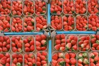 baskets of strawberries