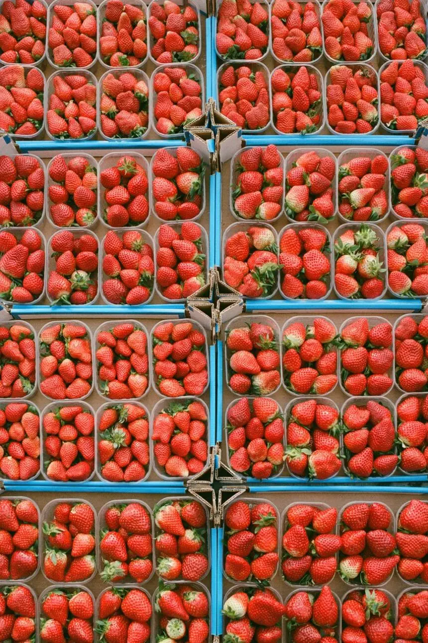 baskets of strawberries
